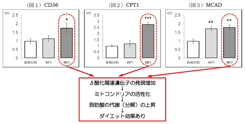 卵白プロテインに関する 九州大学との共同研究結果について