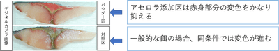 開封後、5℃空気暴露状態での保管による変色比較（72時間後）