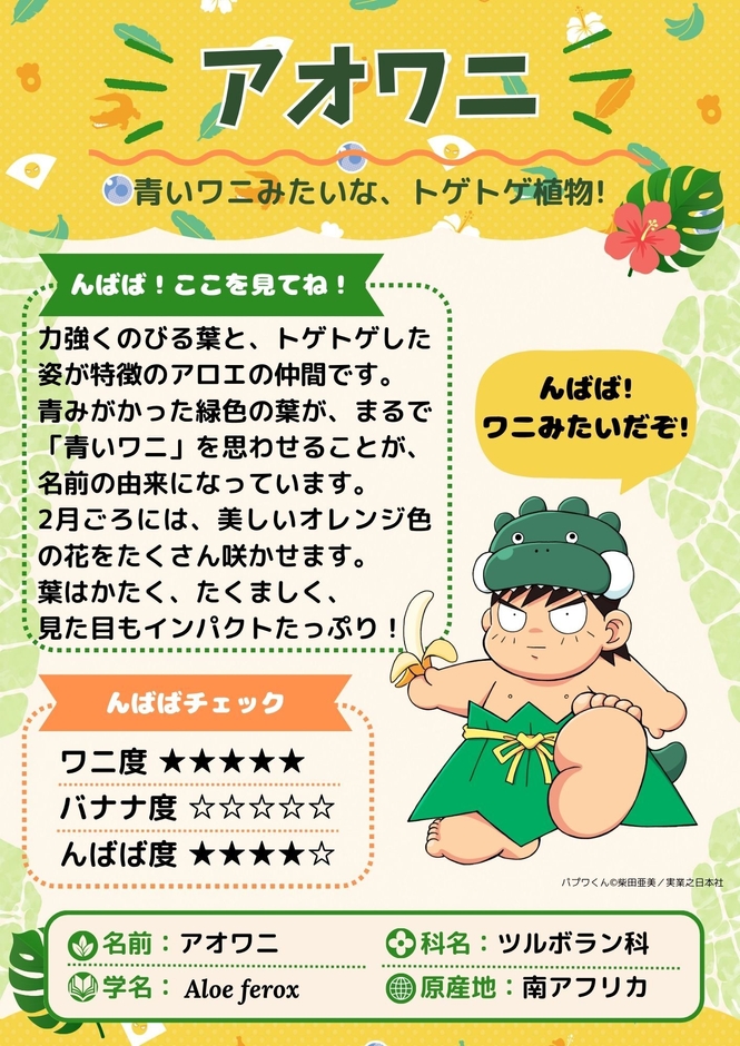 んばば！んばば！ん？ばなな？わに？な植物展