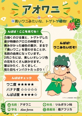 んばば！んばば！ん？ばなな？わに？な植物展