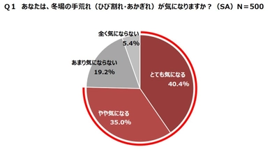 主婦500名に聞いた！「冬の手荒れに関する意識調査」発表　 “手荒れケア難民”続出、正しいケアをできていない人は8割も！