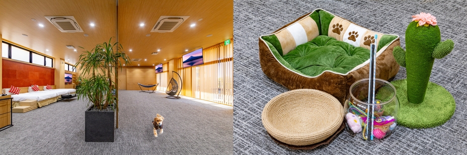 別棟みなみテラス・カゼドッグ＆キャット(2)