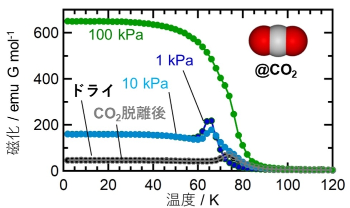 図2. 二酸化炭素吸着前後における磁化の温度依存性（外部磁場100Oe）。二酸化炭素導入圧が低いうち（1kPa 青、10kPa 水色）は、ドライ状態（黒）と同様に、反強磁性体（磁石OFF）であることを示す鋭いピークが現れている。二酸化炭素導入圧が100kPa（緑）まで増えるとピークが消失し磁化が立ち上がり、フェリ磁性状態（磁石ON）へと変化している。真空下加熱処理により二酸化炭素を脱離させることで、分子骨格は元の反強磁性体（磁石OFF）へと戻る（灰）。