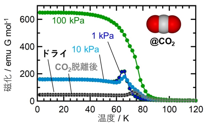 図2. 二酸化炭素吸着前後における磁化の温度依存性(外部磁場100Oe)。二酸化炭素導入圧が低いうち(1kPa 青、10kPa 水色)は、ドライ状態(黒)と同様に、反強磁性体(磁石OFF)であることを示す鋭いピークが現れている。二酸化炭素導入圧が100kPa(緑)まで増えるとピークが消失し磁化が立ち上がり、フェリ磁性状態(磁石ON)へと変化している。真空下加熱処理により二酸化炭素を脱離させることで、分子骨格は元の反強磁性体(磁石OFF)へと戻る(灰)。