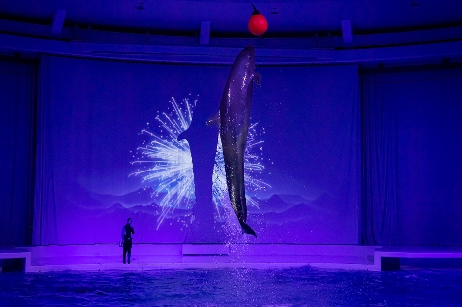 オーシャンナイトライブ「夏」