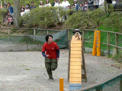 富士スバルランド ドギーパークのドッグショー
