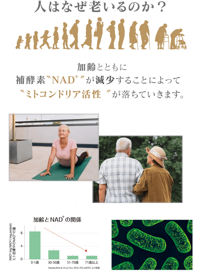 NMNの次に来る細胞活性成分＜デアザフラビン＞と＜5-ALA＞を W配合した 