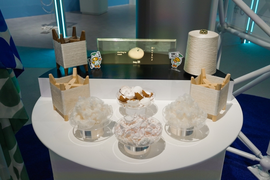 出発原料の卵殻膜とオボヴェールの綿や糸の実物を展示