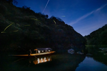 【星のや京都】儚(はかな)く光る蛍を優雅に鑑賞する1日1組限定の屋形舟「夏宵(なつよい)の蛍狩り舟」開催｜期間：2021年6月1日～30日