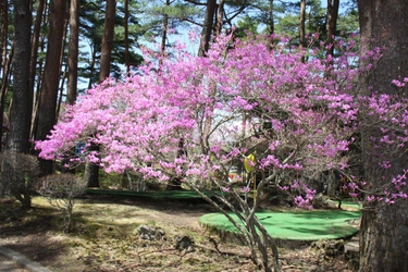 GWはイベント満載の富士山の麓へ遊びに行こう！ 2016年4月29日（祝）～5月8日（日）富士すばるランド「春まつり」開催！ ～今年は”ジュウオウジャー”と”プリキュア”がやってくる～