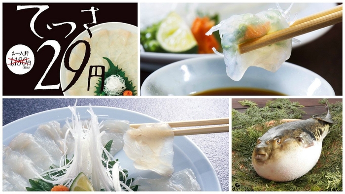 【玄品ふぐ】ふぐ刺し(てっさ)29円フェア!