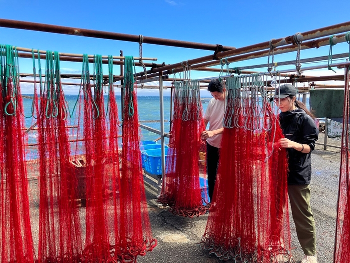 エビ網掃除作業イメージ