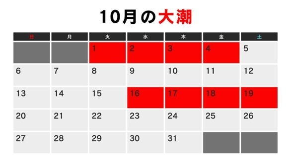 10月の大潮