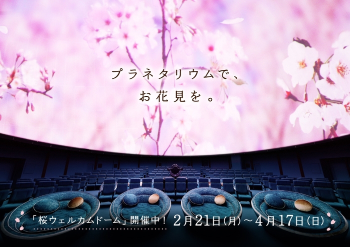桜ウェルカムドーム_プラネタリアTOKYO_KV