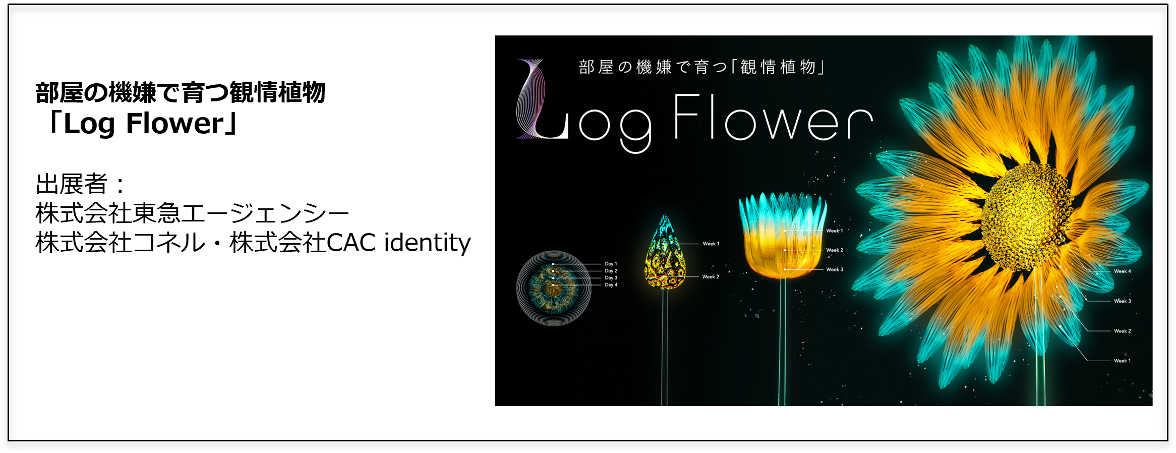 Log Flower