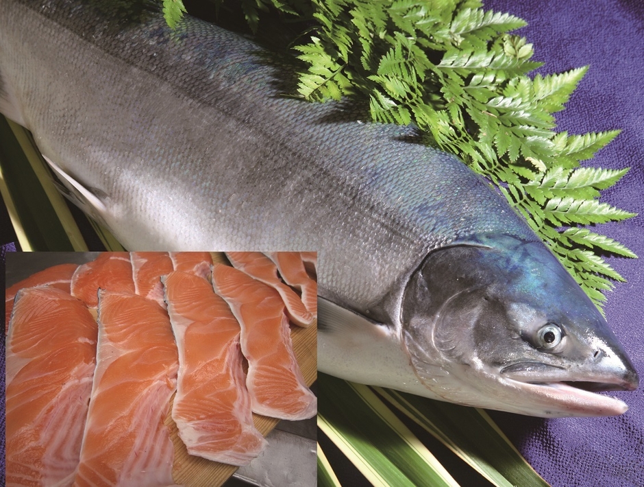 アツマル水産 定置物時知らず