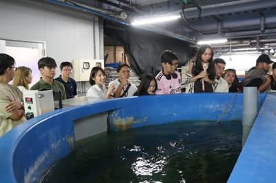 好適環境水を使った海水魚の陸上養殖も見学しました