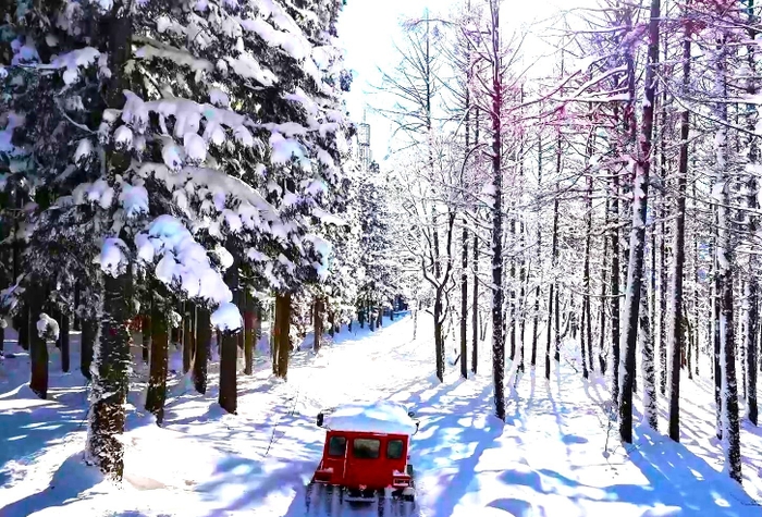 雪上車アドベンチャーライド（雪遊びパーク）