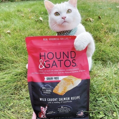 日本初・岡山の廃校をリノベした「保護ねこ施設」が 国内未発売アメリカ製のペットフードを販売開始　 普段使いのフードで動物保護活動を支援！