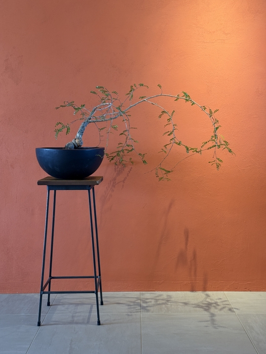 「305 Kakera」 × 「kids」(2)