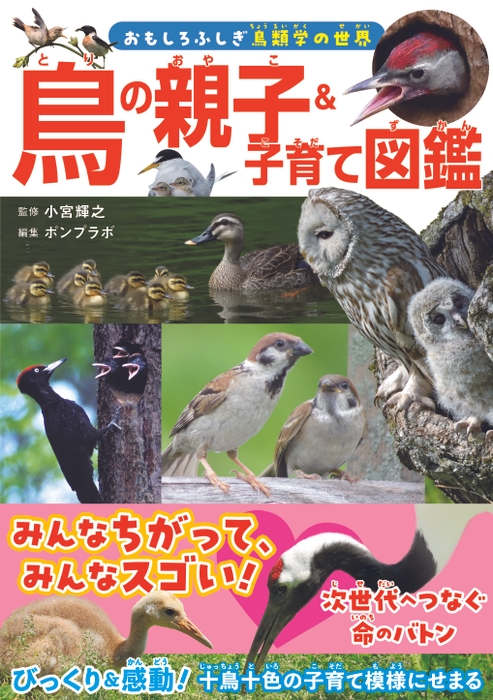 『鳥の親子&子育て図鑑』書影