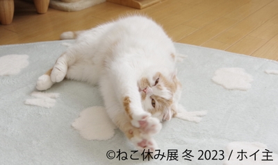 展示作品7