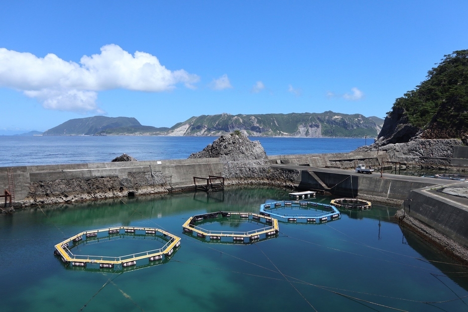 式根島養殖場