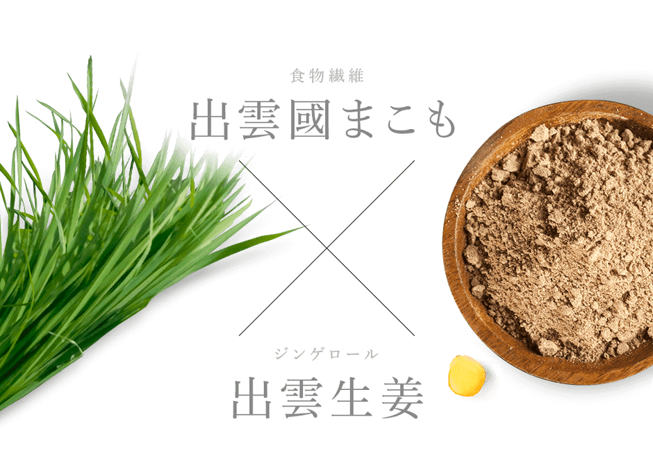 まこも生姜イメージ