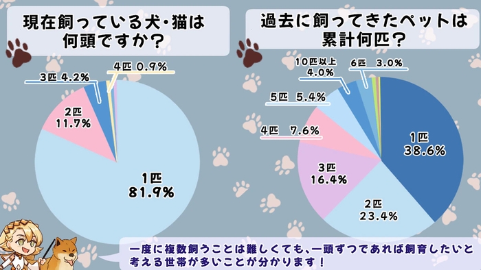 現在何頭飼っているか・累計何匹飼ったことがあるか