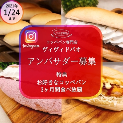 ヴィヴィド・パオ アンバサダー募集
