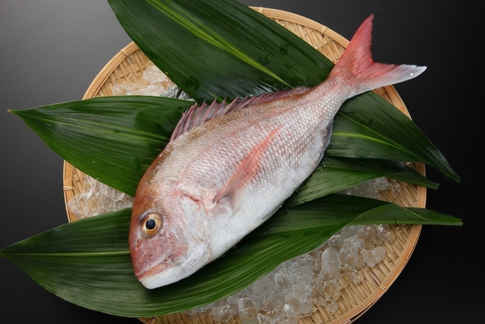 鯛めし　原料天然真鯛