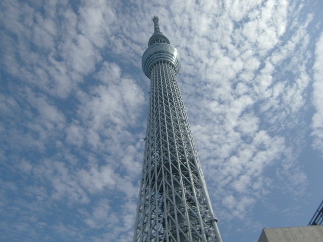 スカイツリーの目の前にある畑