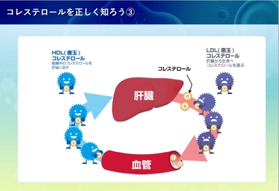 <LDLとHDLの役割>
