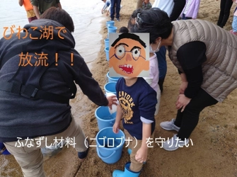 琵琶湖固有種放流のクラウドファンディングを8月31日まで実施中！ ～“ふなずし”になる魚の放流～