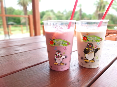 PINGU～タピオカドリンク～(アイス)700円(税込)