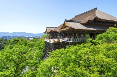 京都駅から清水寺を結ぶ 「清水寺ライン」 を運行!!
～座って、ラクラク♪ ガイドで、ナットク♪～ 京都駅や京阪七条駅から
清水寺や西本願寺などを結ぶ、観光循環バスを１日１６便運行します！