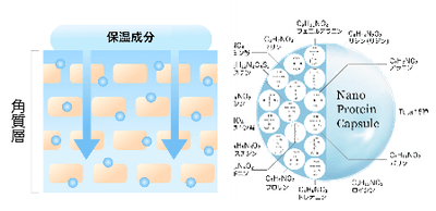 乾燥肌へのアプローチ