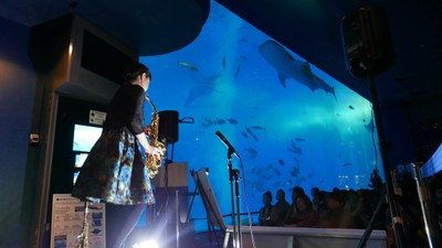 美ら海ナイトアンサンブル ～海と音楽のシンフォニー～