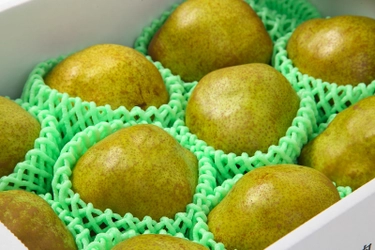 地元の特産品を守りたい！生産量日本一の山形県産ラ・フランス 　Makuakeのクラウドファンディングを開始