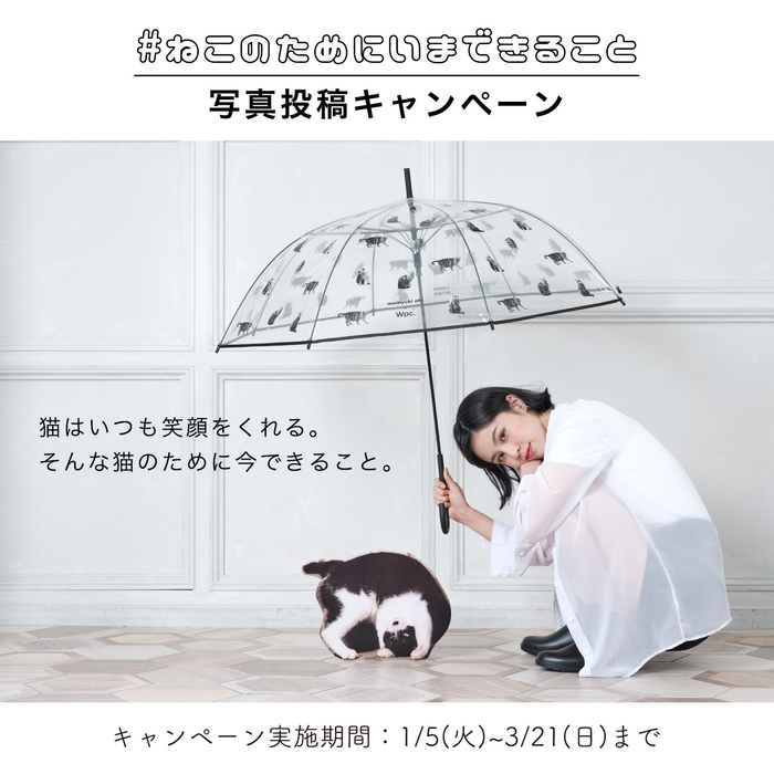 大好きな猫のために今出来ることを大募集!
