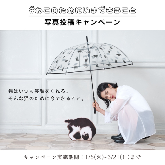 大好きな猫のために今出来ることを大募集！