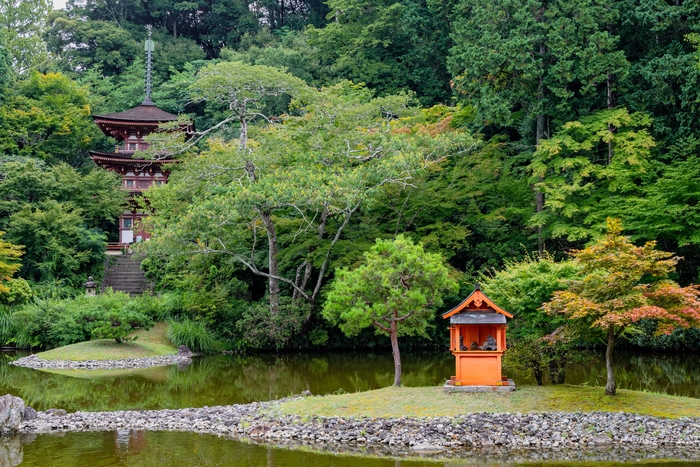 ▲浄瑠璃寺　庭園と国宝「三重塔」【1コース】