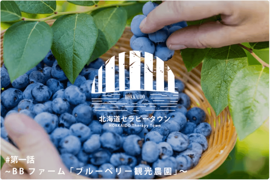 ブルーベリー観光農園