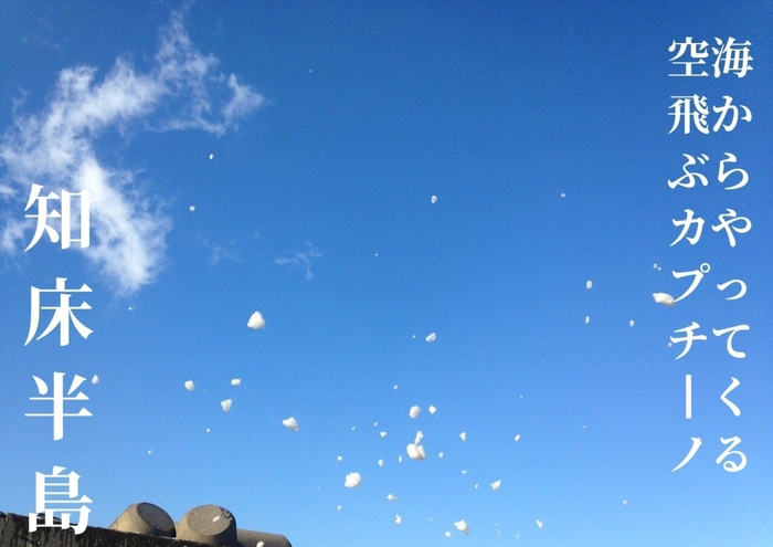 アプリの部　準グランプリ