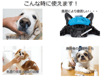 使用シーン