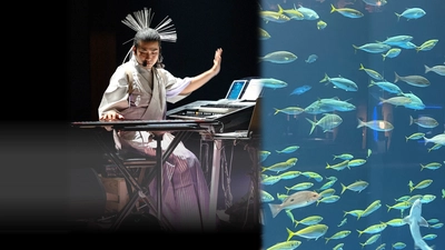 日本人初5次元キーボード・パフォーマー薮井佑介による 四国水族館ナイトコンサートを大晦日の12月31日に開催