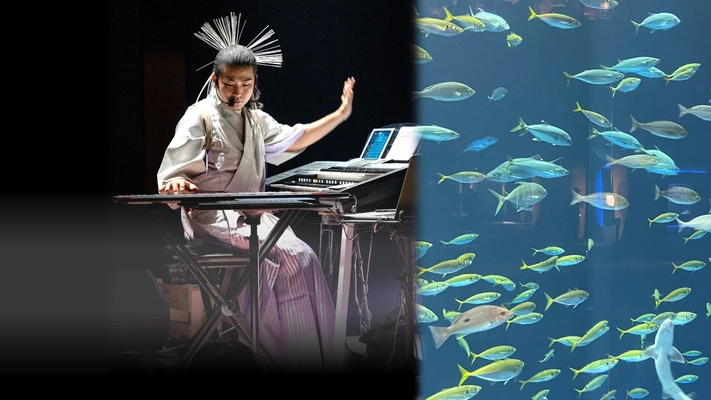 日本人初5次元キーボード・パフォーマー薮井佑介による 四国水族館ナイトコンサートを大晦日の12月31日に開催
