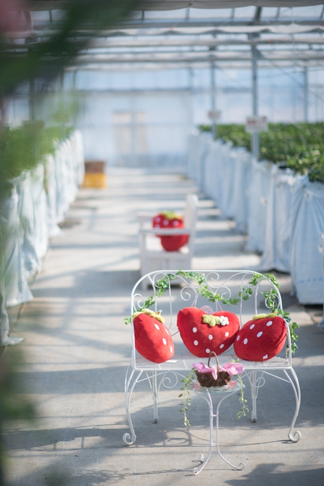 3、アンティークパイプチェア