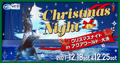 クリスマスナイトキービジュアル