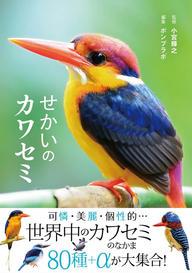 『せかいのカワセミ』書影